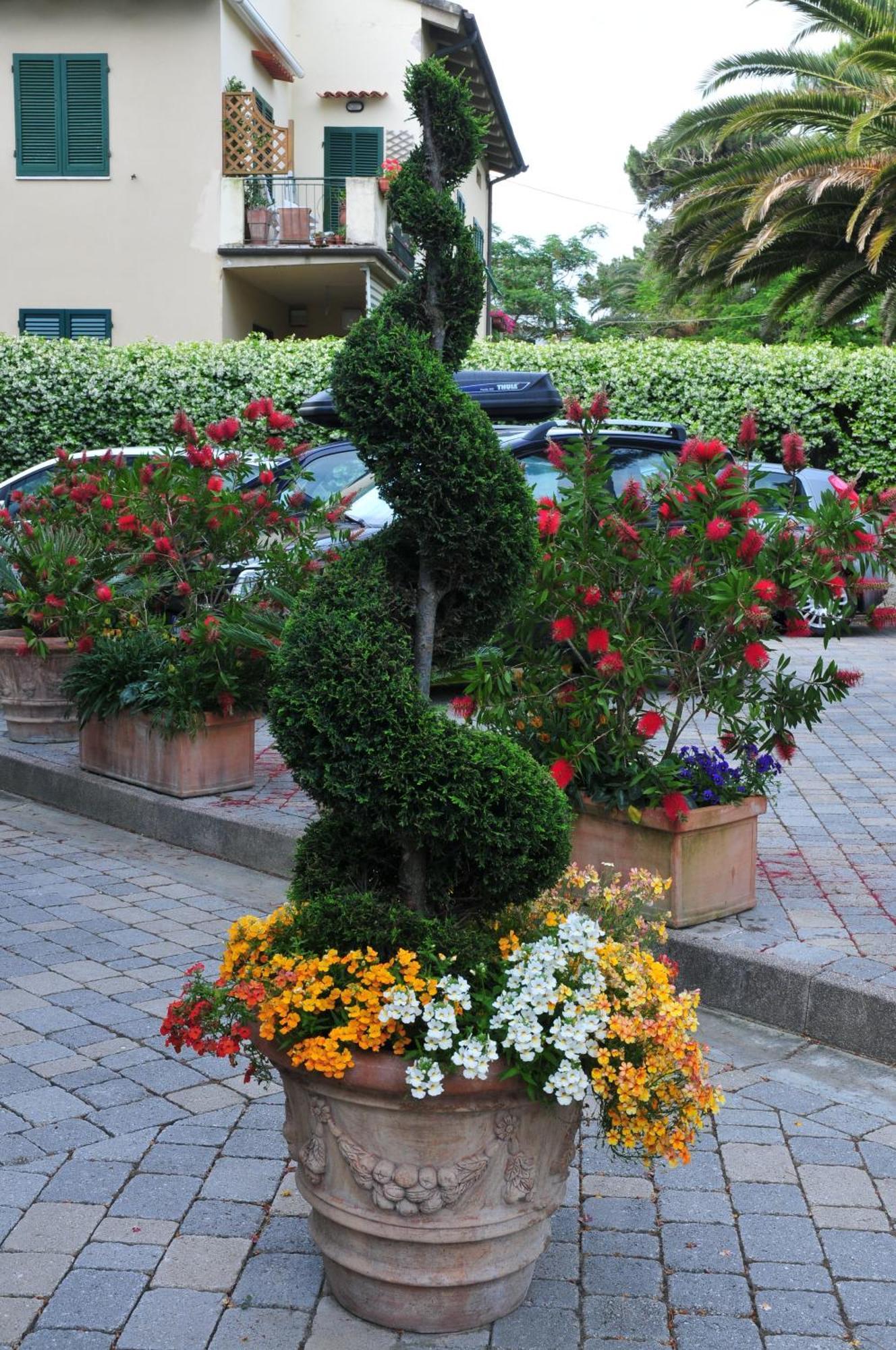 Hotel Riviera Blu Tirrenia Luaran gambar